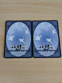 東方 vision ビジョン カード まとめ SP 霧雨魔理沙 博麗霊夢 PR-008 PR-016 発売６ヶ月記念冊子封入特典 サムネイル 2