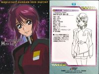 カード まとめ カードダスマスターズ ガンダムSEED ルナマリア ホーク メイリン 19 20 21 22 23 28 29 31 90 キャラクター設定ファイル サムネイル 3