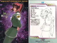 カード まとめ カードダスマスターズ ガンダムSEED ルナマリア ホーク メイリン 19 20 21 22 23 28 29 31 90 キャラクター設定ファイル サムネイル 4