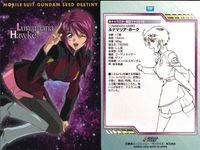 カード まとめ カードダスマスターズ ガンダムSEED ルナマリア ホーク メイリン 19 20 21 22 23 28 29 31 90 キャラクター設定ファイル サムネイル 7
