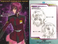 カード まとめ カードダスマスターズ ガンダムSEED ルナマリア ホーク メイリン 19 20 21 22 23 28 29 31 90 キャラクター設定ファイル サムネイル 5