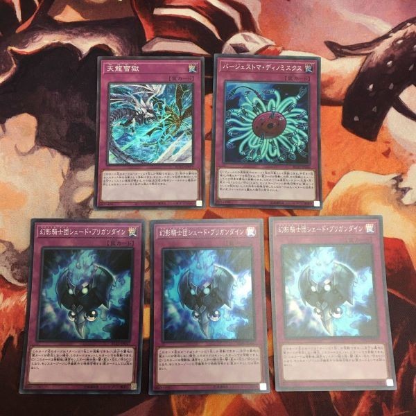 天龍雪獄 バージェストマ・ディノミスクス 幻影騎士団シェード・ブリガンダイン スーパーレア 遊戯王 まとめ ROTD-JP079