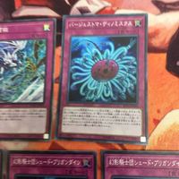 天龍雪獄 バージェストマ・ディノミスクス 幻影騎士団シェード・ブリガンダイン スーパーレア 遊戯王 まとめ ROTD-JP079 サムネイル 3