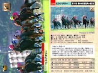 カード ホースレーシング まとめ ハクタイセイ メジロマックイーン マルゼンマオ ヘイセイベル マーベラスサンデ フサイチコンコルド マルカシーズ パーソナリティワン ヒシナタリー 競馬 馬 バンダイ bandai サムネイル 10