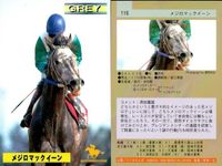 カード ホースレーシング まとめ ハクタイセイ メジロマックイーン マルゼンマオ ヘイセイベル マーベラスサンデ フサイチコンコルド マルカシーズ パーソナリティワン ヒシナタリー 競馬 馬 バンダイ bandai サムネイル 3