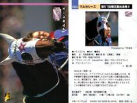 カード ホースレーシング まとめ ハクタイセイ メジロマックイーン マルゼンマオ ヘイセイベル マーベラスサンデ フサイチコンコルド マルカシーズ パーソナリティワン ヒシナタリー 競馬 馬 バンダイ bandai サムネイル 8