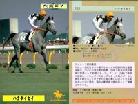 カード ホースレーシング まとめ ハクタイセイ メジロマックイーン マルゼンマオ ヘイセイベル マーベラスサンデ フサイチコンコルド マルカシーズ パーソナリティワン ヒシナタリー 競馬 馬 バンダイ bandai サムネイル 2