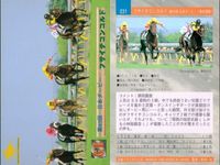 カード ホースレーシング まとめ ハクタイセイ メジロマックイーン マルゼンマオ ヘイセイベル マーベラスサンデ フサイチコンコルド マルカシーズ パーソナリティワン ヒシナタリー 競馬 馬 バンダイ bandai サムネイル 7