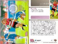 カード REAL VENUS リアルヴィーナス まとめ 藤森由香 菊池沙都 RENA 尾川智子 片岡安祐美 山口真理恵 Venus Ques 高岸知代 浅井未来 女性 アスリート BBM 2009 サムネイル 7