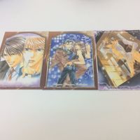 トレーディングカード カード マイナーカード 非売品 レア キラ プロモ アニメ 美少女 ゲーム 1 GUY 3枚組2 サムネイル 3