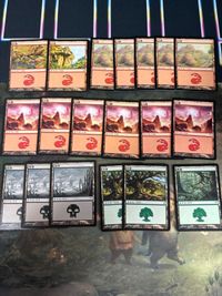 希少 簡体字版 山 森 沼 19枚 型番統ー まとめ MTG 人気絵柄 多言語 中国語 神河物語 ローウィン