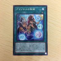 遊戯王 字レア カード トレーディングカード アマゾネスの秘術 まとめ サムネイル 3