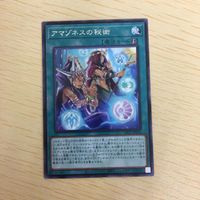 遊戯王 字レア カード トレーディングカード アマゾネスの秘術 まとめ サムネイル 4