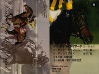競馬 カード まとめ キラ ホロ フサイチコンコルド ダンスインザダーク タイキフォーチュン ファイトガリバー グラスワンダー ジョッキー バンダイ サムネイル 3