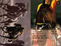 競馬 カード まとめ キラ ホロ フサイチコンコルド ダンスインザダーク タイキフォーチュン ファイトガリバー グラスワンダー ジョッキー バンダイ サムネイル 2