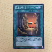 遊戯王 ノーマル カード トレーディングカード 王家の眠る谷ーネクロバレー まとめ サムネイル 4