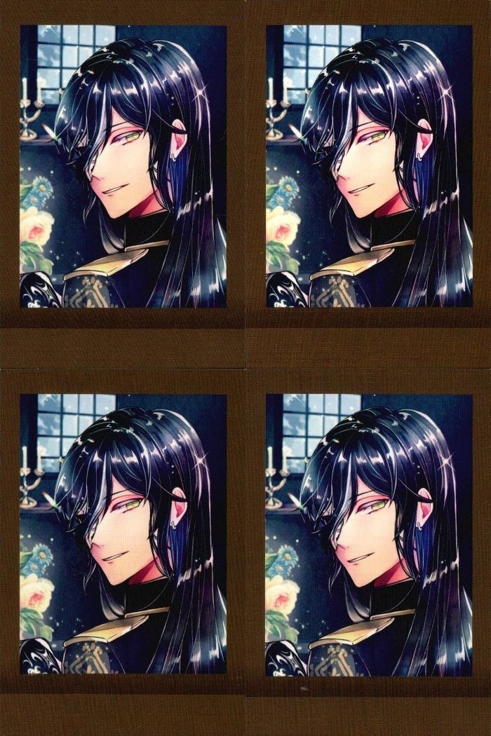カード 悪魔執事と黒い猫 あくねこ ぱしゃこれ 第二弾 06 6 MOVIC まとめ
