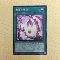 遊戯王 ノーマル カード トレーディングカード 聖蔓の播種 まとめ サムネイル 3