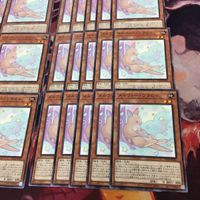 メルフィー・ワラビィ 40枚 型番統一 字レア まとめ 遊戯王 POTE-JP022 サムネイル 5