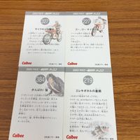 Kamen Rider Card Lot Bundle 13 Cards サムネイル 6