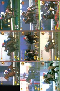 競馬 カード ホースレーシング まとめ メジロブライト シルクジャスティス タイキシャトル 第 シルクジャスティス ピルサドスキー タイキシャトル 第 グラスワンダー アインブライド エイシンガイモン サムネイル 1