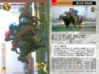 競馬 カード ホースレーシング まとめ メジロブライト シルクジャスティス タイキシャトル 第 シルクジャスティス ピルサドスキー タイキシャトル 第 グラスワンダー アインブライド エイシンガイモン サムネイル 5