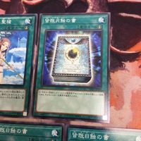 皆既日蝕の書 禁じられた聖槍 皆既月蝕の書 遊戯王 ノーマル まとめ クシャトリラ 対策 サムネイル 3