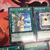 皆既日蝕の書 禁じられた聖槍 皆既月蝕の書 遊戯王 ノーマル まとめ クシャトリラ 対策 サムネイル 2