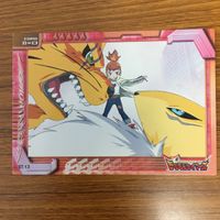 デジモンテイマーズ カード アマダ まとめ 留姫 レナモン 27 サムネイル 3