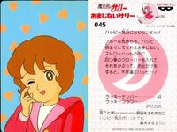 カード 魔法使い サリー おまじない サリーちゃん まとめ 43 44 45 043 044 045 1990年 バンプレスト カードダス バンプレ サムネイル 4