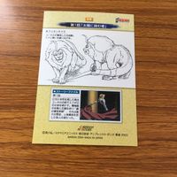 鋼の錬金術師 ハガレン カード トレカ カードダスマスターズ まとめ エド エドワード アル アルフォンス リザ 3 サムネイル 10