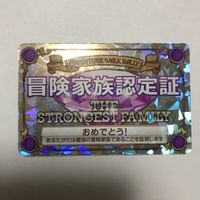 交渉歓迎 cas3 カード 冒険ウォークラリー 夏休み冒険家族 冒険家族認定証 認定証 冒険家族 キラ サムネイル 1