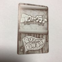交渉歓迎 cas3 カード 冒険ウォークラリー 夏休み冒険家族 冒険家族認定証 認定証 冒険家族 キラ サムネイル 5