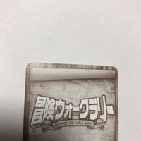 交渉歓迎 cas3 カード 冒険ウォークラリー 夏休み冒険家族 冒険家族認定証 認定証 冒険家族 キラ サムネイル 6