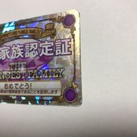 交渉歓迎 cas3 カード 冒険ウォークラリー 夏休み冒険家族 冒険家族認定証 認定証 冒険家族 キラ サムネイル 4
