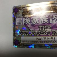 交渉歓迎 cas3 カード 冒険ウォークラリー 夏休み冒険家族 冒険家族認定証 認定証 冒険家族 キラ サムネイル 2