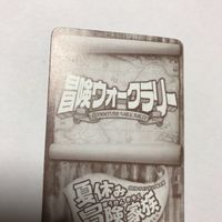 交渉歓迎 cas3 カード 冒険ウォークラリー 夏休み冒険家族 冒険家族認定証 認定証 冒険家族 キラ サムネイル 7