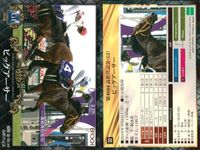 カード ホースレーシング まとめ マコトブリジャール シンハライト メジャーエンブレム レーヴミストラル ロゴタイプ ビッグアーサー マコトブリジャール オジュウチョウサン シュンドルボン ロー 競馬 馬 EPOCH 2017 サムネイル 7