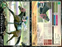 カード ホースレーシング まとめ マコトブリジャール シンハライト メジャーエンブレム レーヴミストラル ロゴタイプ ビッグアーサー マコトブリジャール オジュウチョウサン シュンドルボン ロー 競馬 馬 EPOCH 2017 サムネイル 2