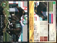 カード ホースレーシング まとめ マコトブリジャール シンハライト メジャーエンブレム レーヴミストラル ロゴタイプ ビッグアーサー マコトブリジャール オジュウチョウサン シュンドルボン ロー 競馬 馬 EPOCH 2017 サムネイル 3