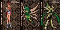 Gaogaigar Brave Warrior King Card Holo Amada