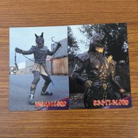 トレカ カード まとめ 仮面ライダー アギト ヘッジホッグロード 風のエル ビートルロード ジャッカルロード 11 サムネイル 3
