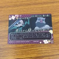 カード トレカ まとめ 鬼滅の刃 胡蝶 しのぶ 竈門 炭治郎 嘴平 伊之助 累 未開封 13 サムネイル 10
