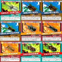 昆虫王者 ムシキング カード まとめ 裏面 ゴールド 金 ｗ960 sn7 2401 サムネイル 5