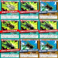 昆虫王者 ムシキング カード まとめ 裏面 ゴールド 金 ｗ960 sn7 2401 サムネイル 3