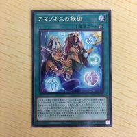 遊戯王 字レア カード トレーディングカード アマゾネスの秘術 まとめ サムネイル 7