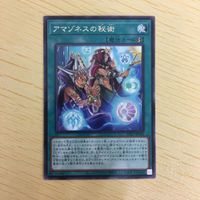 遊戯王 字レア カード トレーディングカード アマゾネスの秘術 まとめ サムネイル 5
