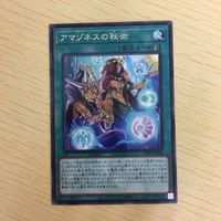 遊戯王 字レア カード トレーディングカード アマゾネスの秘術 まとめ サムネイル 3