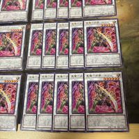 真魔六武衆 エニシ 型番統一 40枚 ROTA-JP040 字レア まとめ 遊戯王 シャドーボックス 無限回収 サムネイル 5