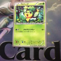 ポケモンカード 新裏面 プロモ 10枚 4枚 ヤナップ トレジャーエネルギー レジスチル フラダリ 54 41 6 サムネイル 2